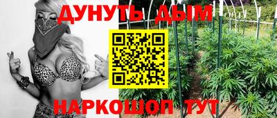 индика Абинск
